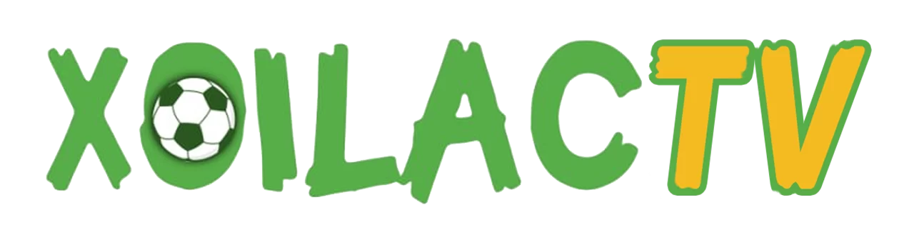 Dương Dương-áo champion